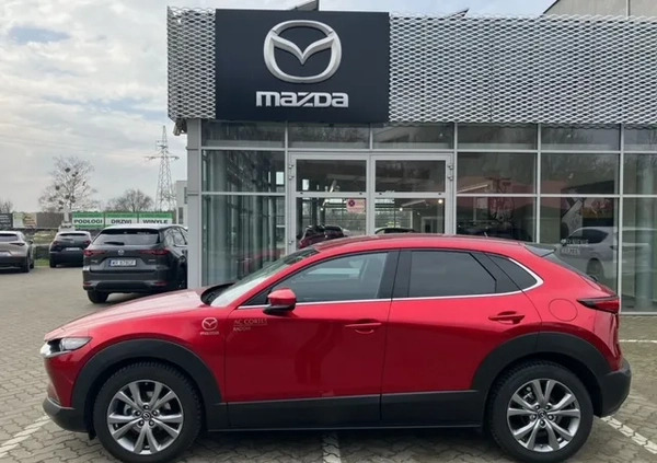 Mazda CX-30 cena 149900 przebieg: 10420, rok produkcji 2023 z Radom małe 67